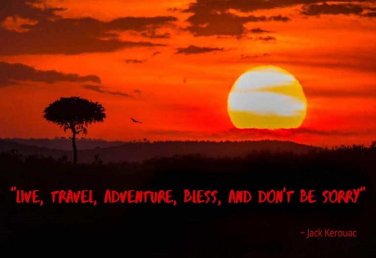 Best Travel Quotes