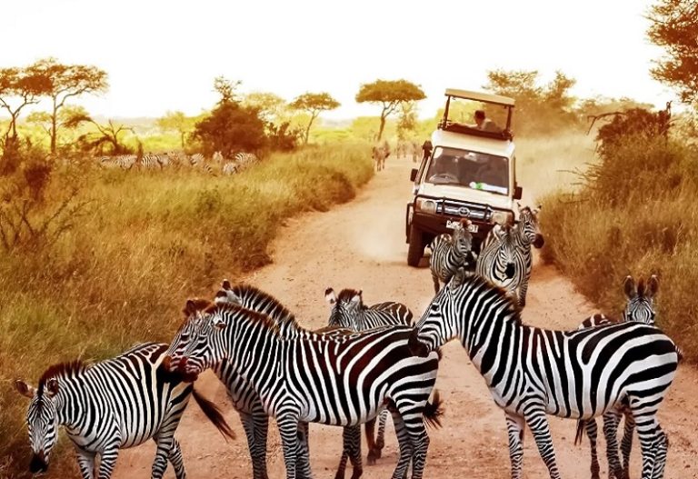 Tanzania safari destinations