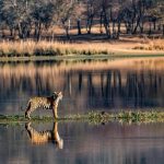 Ranthambhore National Park