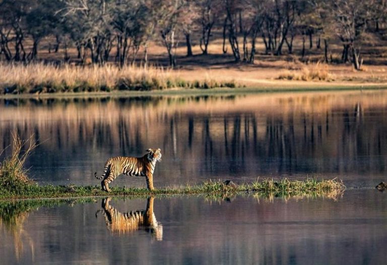 Ranthambhore National Park