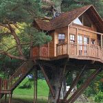 Best Tree House