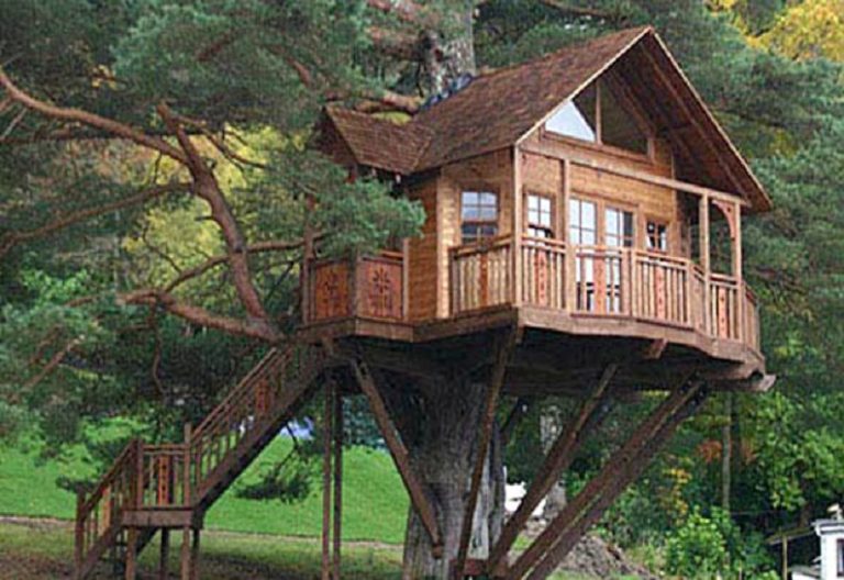 Best Tree House